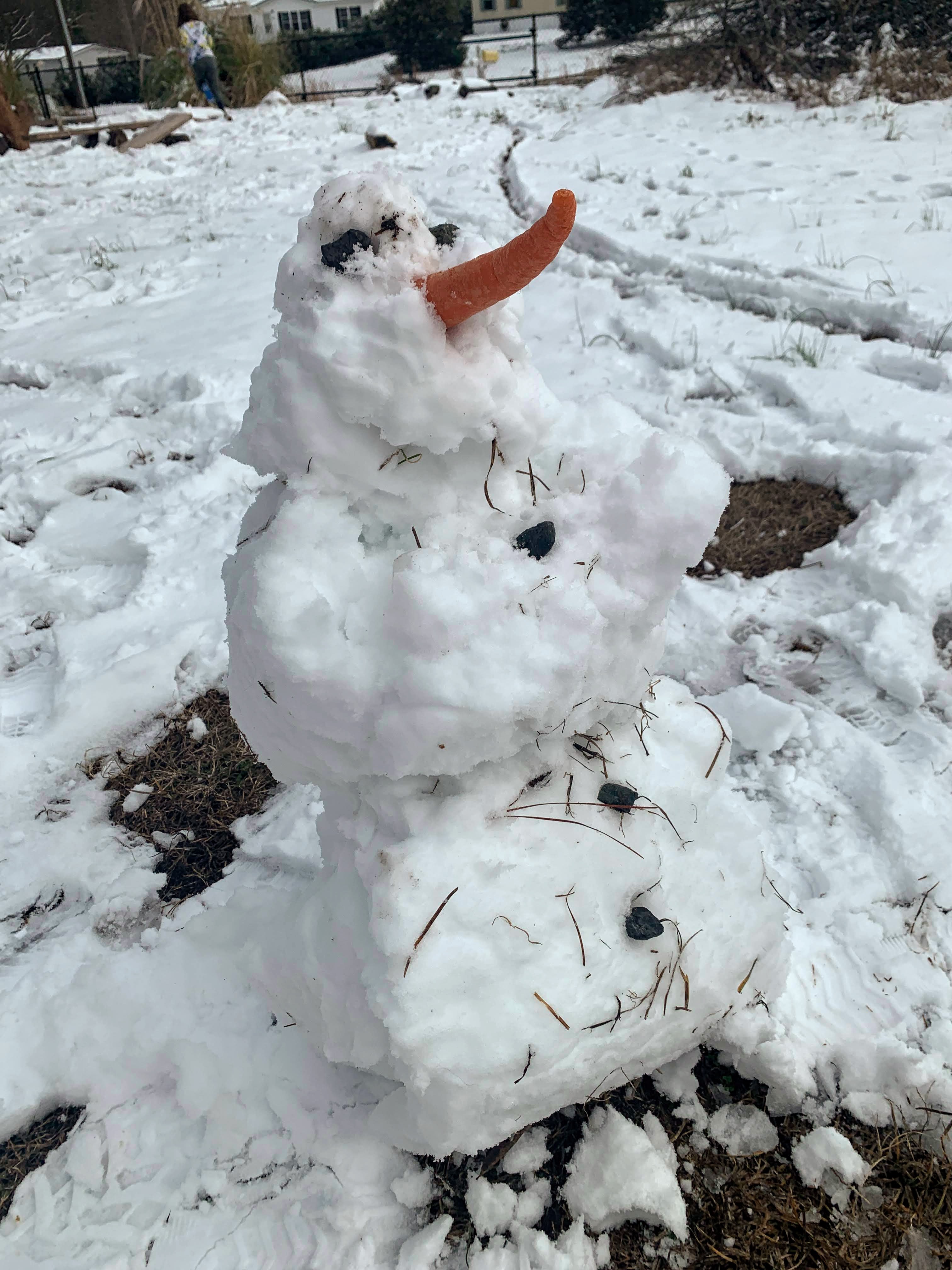 Snowday